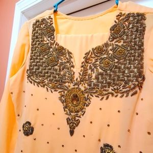 Pakistani Wedding wear/party wear